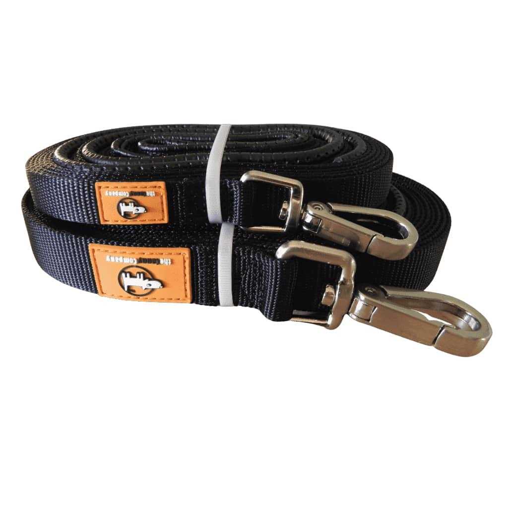 Leash X2493