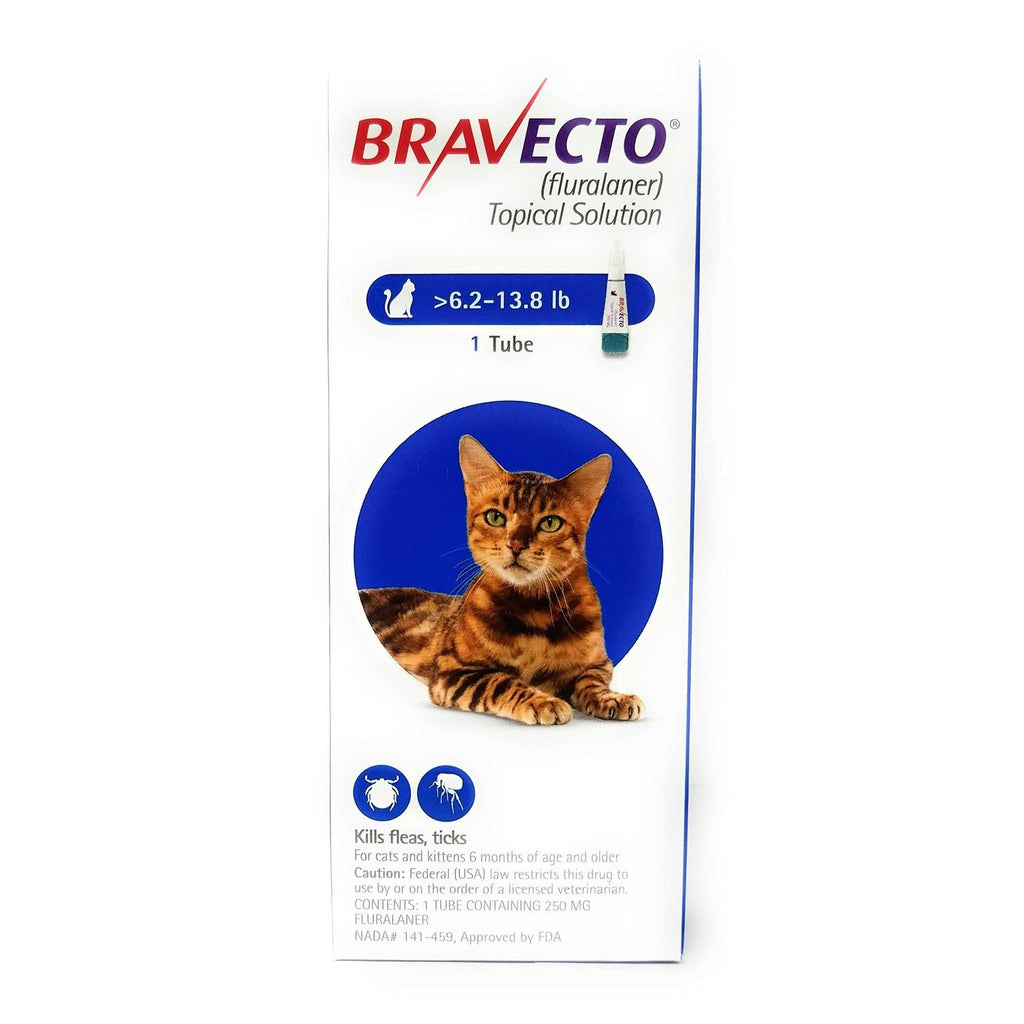 Bravecto Topical Solution for Cats T804228