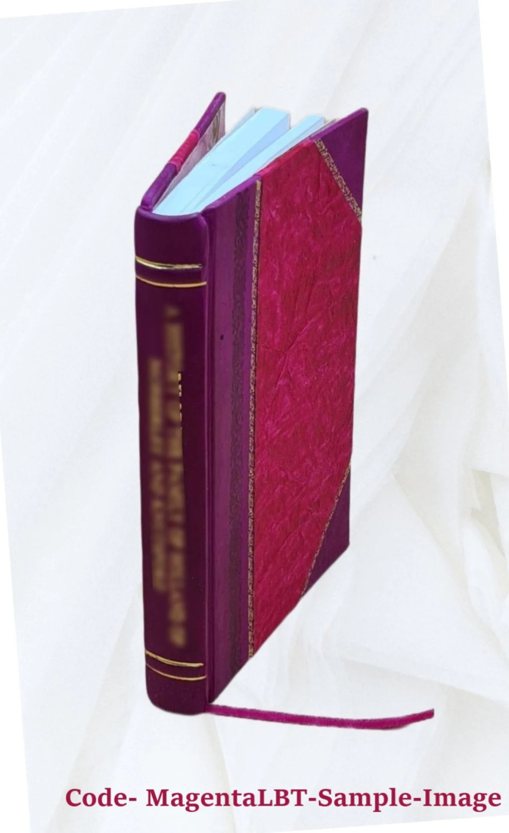 Nebraska laws of special interest to women I139826
