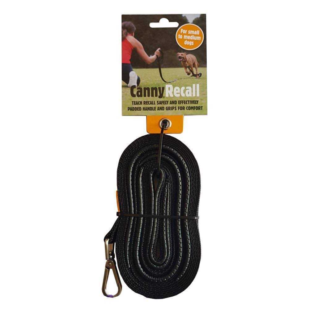 Leash X2493
