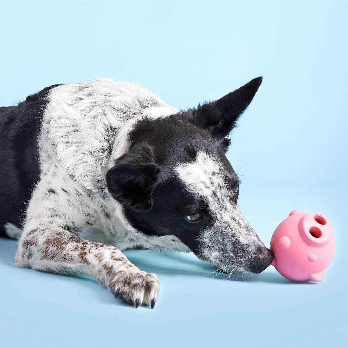 Super Chewer Pig Dog Toy Y6752