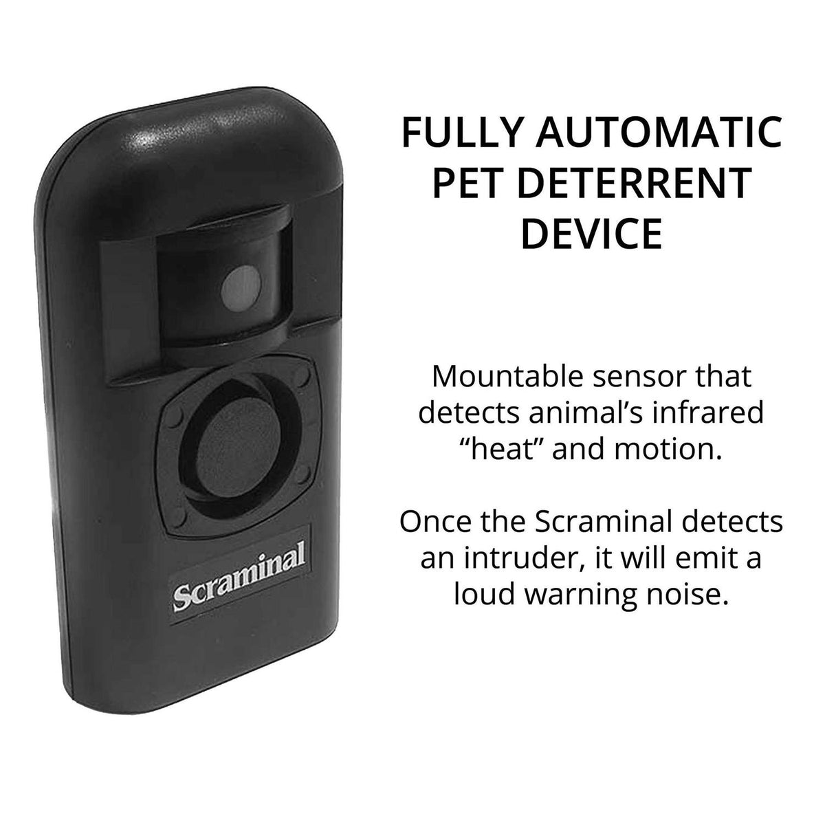Pet Supplies Q75503