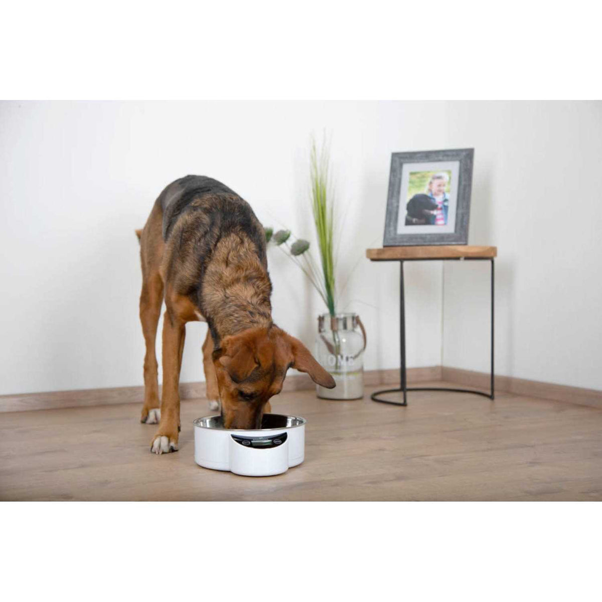 Intelligent Pet Bowl M437592